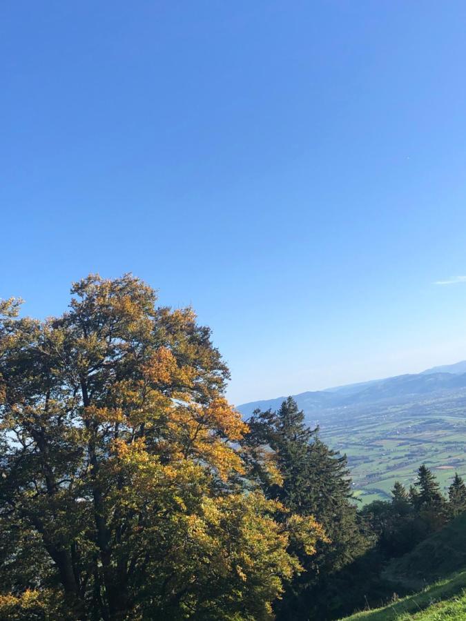 Montlinger Schwamm Hotel Oberriet ภายนอก รูปภาพ