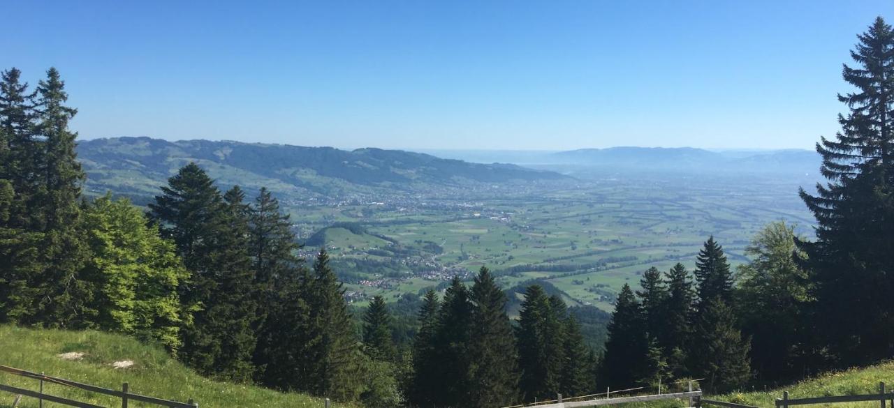 Montlinger Schwamm Hotel Oberriet ภายนอก รูปภาพ